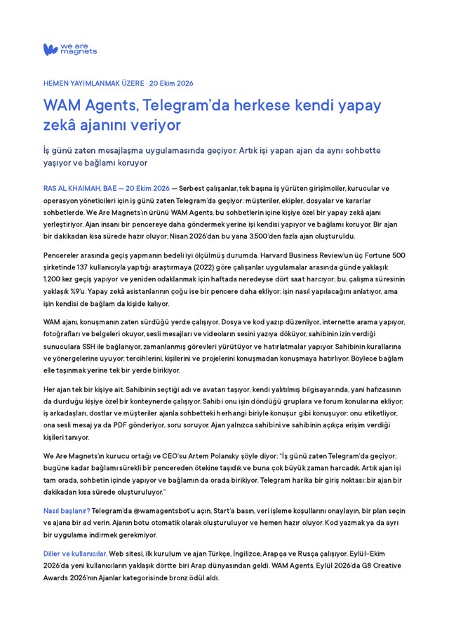 Basın bülteni, PDF ve Word